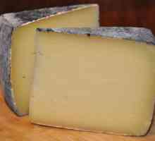 Ce este brânza Pecorino?