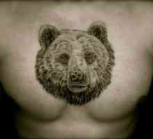 Ce înseamnă un tatuaj urs?