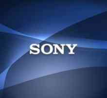 Camera digitală Sony Cyber ​​Shot DSC-W830: comentarii