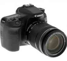 Canon Digital Cameras: recenzii. Camera Canon: reparații. Cele mai bune camere Canon