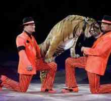 Programul Circus "Emoții" și frații Circus de Zapashny: recenzii, descrierea programului,…