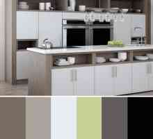 Schema de culori a bucătăriei din interior