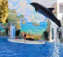 Dolphinarium `Riviera` (Sochi): program, adresa, fotografie