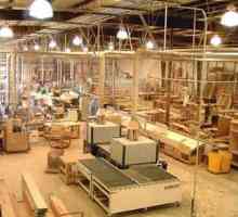 Întreprinderile de prelucrare a lemnului și locul acestora în economia țării