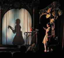 Teatrul de umbre pentru copii din Moscova: repertoriu, bilete, recenzii