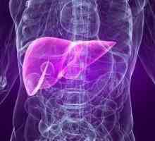 Diagnosticul hepatozei hepatice grase. Simptomele și tratamentul
