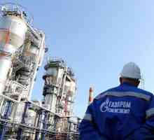 Director al Gazprom, sub supravegherea bunăstării naționale