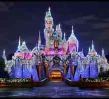 Disneyland, Orlando: fotografii și recenzii ale turiștilor. Parcul Walt Disney