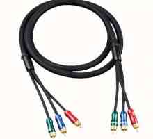 De ce aveți nevoie de un cablu component?