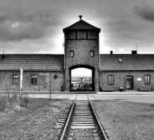 Filme documentare și de lung metraj despre Auschwitz