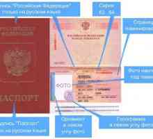 Documente pentru un pașaport vechi: lista și datele