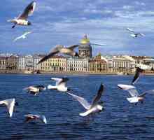 Obiective turistice din Sankt Petersburg. Muzeele ruse din Sankt Petersburg. Locuri memorabile din…