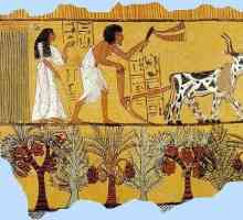 Fermieri vechi din Egipt. Egiptul antic: Agricultura