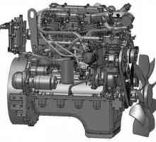 Motor D-245 pentru camioane și autobuze