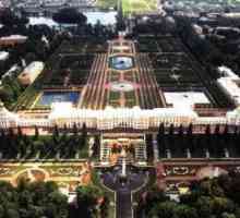 Palatele lui Peterhof: recenzii, descriere, istoric și recenzii