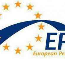 Partidul Popular European: compoziție, structură, poziții