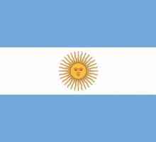 Steagul Argentinei, originea și simbolismul acesteia. Emblema de stat