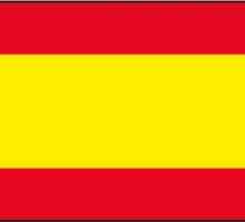 Steagul Spaniei, istoria sa și semnificația simbolică