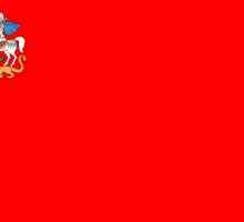 Steagul regiunii Moscova. Steaguri ale unităților administrative din regiune.