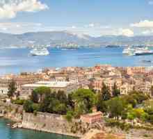 Flamingo Apartments 3 *, Corfu: recenzii ale turiștilor