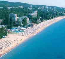 Flamingo Sunny Beach 4* (Болгария): фото, цены и отзывы туристов из России