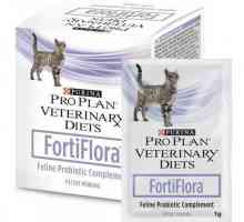 "Fortiflora pentru pisici": instrucțiuni de utilizare