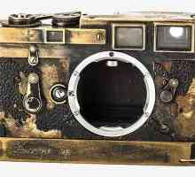 Fotocamera Leica: fotografie, istorie