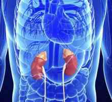 Hyperfuncția glandelor suprarenale: cauze, simptome, diagnostic și tratament