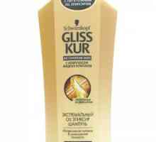 `Glis Chour` (șampon): recenzie, tipuri, descriere și recenzii. Șampon…