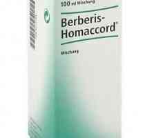 Picăturile homeopate `Berberis Homaccord`