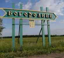 Orașul Bogoroditsk, regiunea Tula