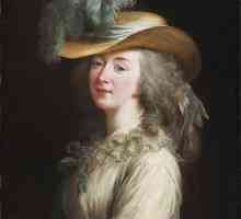 Contesa Du Barry: biografie, viață personală, cauza morții. Marie Jeanne Du Barry