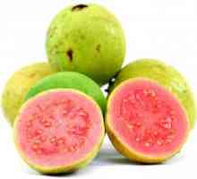 Guava - fructele sunt exotice și foarte utile
