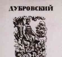 Natura lui Vladimir Dubrovski în povestea lui Alexandru Pușkin
