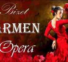 Caracteristica lui Carmen. Imaginea Carmen în opera lui Bizet