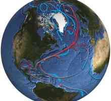 Caracterizăm climatul Oceanului Atlantic: temperatură, umiditate, caracteristici