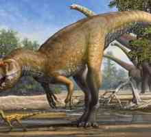 Predate dinozauri - teropode: descriere, mod de viață