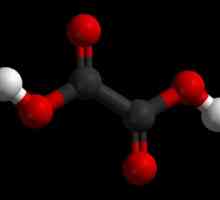 Acid clorogenic pentru pierderea în greutate: un mit sau un remediu eficient?