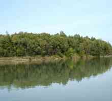 Utilizarea economică a râului Ob. Descrierea și caracteristicile debitului de apă