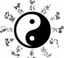 Yin-yang tatuaj: sensul și locația aplicației
