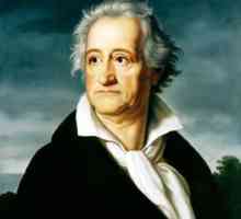 Johann Wolfgang von Goethe: biografie, fotografii, lucrări, citate