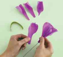 Irisuri din hârtie ondulată: clasă de master și recomandări