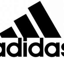 Istoria Adidas, structura și activitățile companiei