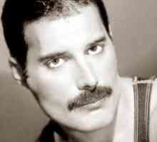 Istoria unei perechi: Jim Hatton și Freddie Mercury