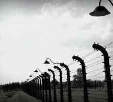 Istoria Auschwitz. Cine a eliberat Auschwitz?