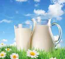 Din ce este făcut laptele? Cum se face lapte praf?