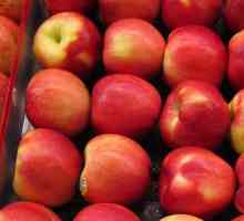 Apple tree Proaspăt: descriere, fotografii, recenzii, îngrijire și particularități ale cultivării