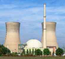 Reactor nuclear: principiu de funcționare, dispozitiv și circuit