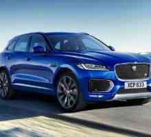 `Jaguar`, crossover: recenzie, descriere, caracteristici tehnice și recenzii