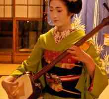 Instrumente muzicale japoneze (fotografie)
